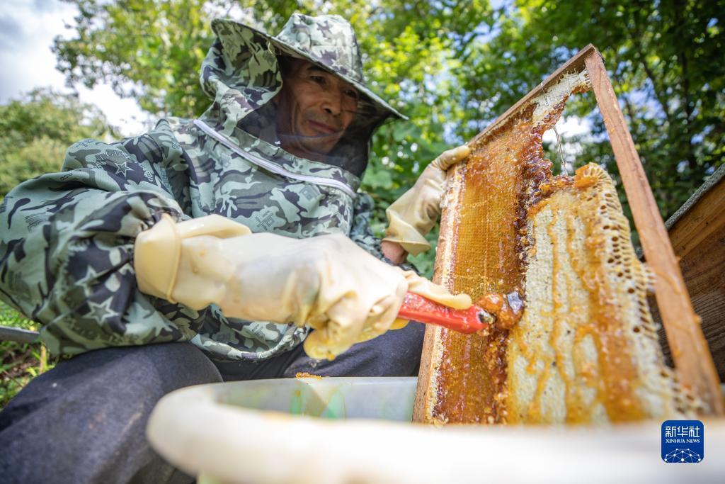 菠菜十大平台